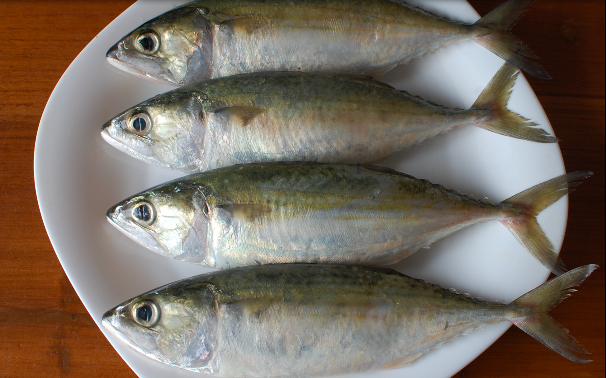 Indian Mackerel (Ayila) - 2 to 5 pcs