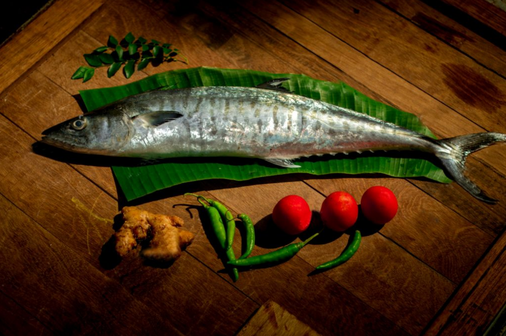 Whole King Fish / Seer Fish - 3 to 5 kg