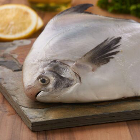 Pomfret (3 Whole fish) (400 gms)